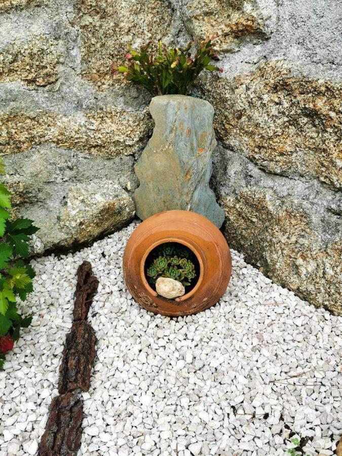 コインブラ O Refugioヴィラ エクステリア 写真